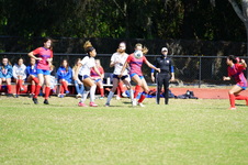 Enlarge photo 357