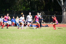 Enlarge photo 358