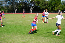 Enlarge photo 379
