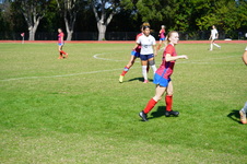 Enlarge photo 378