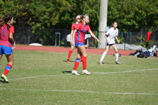 Enlarge photo 388