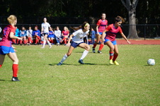 Enlarge photo 416
