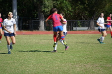 Enlarge photo 418