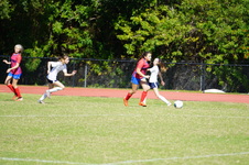 Enlarge photo 425