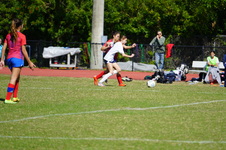 Enlarge photo 430