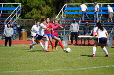 Enlarge photo 432