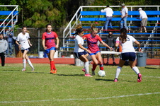Enlarge photo 433