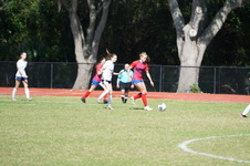 Enlarge photo 435