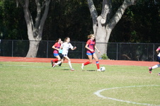 Enlarge photo 437