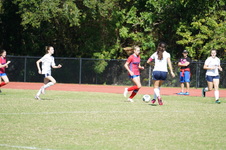 Enlarge photo 440