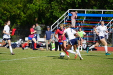 Enlarge photo 445