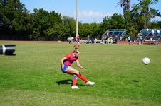 Enlarge photo 459