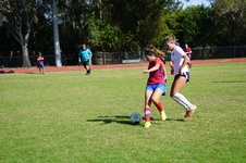 Enlarge photo 474