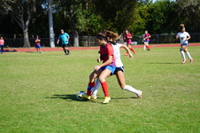 Enlarge photo 475
