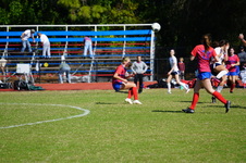 Enlarge photo 483
