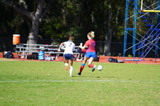 Enlarge photo 492