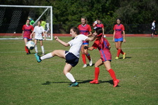 Enlarge photo 520