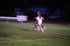 Enlarge photo 228