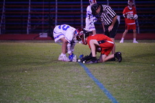 Enlarge photo 48