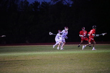 Enlarge photo 149
