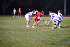 Enlarge photo 231