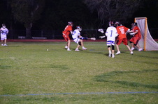 Enlarge photo 243
