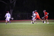 Enlarge photo 393