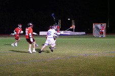 Enlarge photo 453