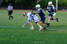 Enlarge photo 55