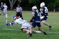 Enlarge photo 54