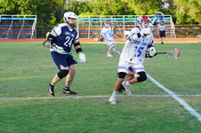 Enlarge photo 61
