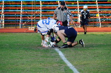 Enlarge photo 93