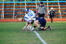 Enlarge photo 95