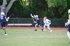 Enlarge photo 146