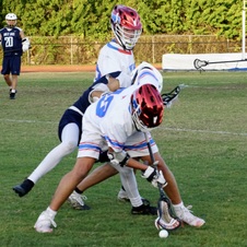 Enlarge photo 151