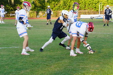Enlarge photo 154