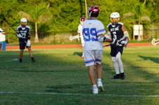 Enlarge photo 162