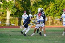 Enlarge photo 177