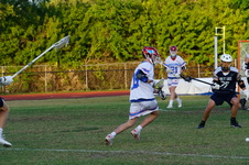 Enlarge photo 227