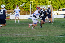 Enlarge photo 230
