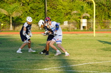 Enlarge photo 232
