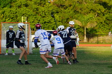 Enlarge photo 235