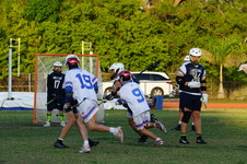 Enlarge photo 236