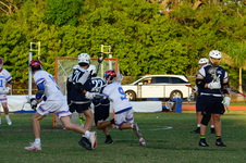 Enlarge photo 237