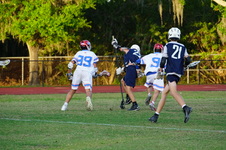 Enlarge photo 243