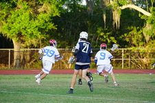 Enlarge photo 244