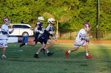 Enlarge photo 259
