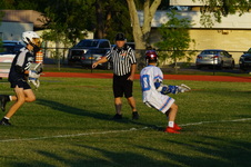 Enlarge photo 262