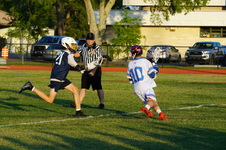 Enlarge photo 265