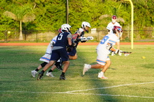 Enlarge photo 278